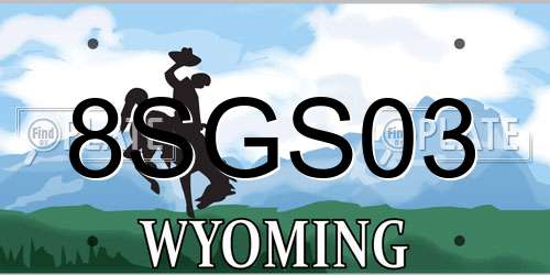 8SGS03 Wyoming License Plate