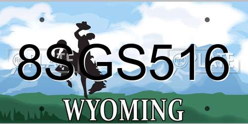 8SGS516 Wyoming License Plate