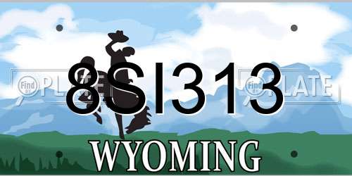 8SI313 Wyoming License Plate