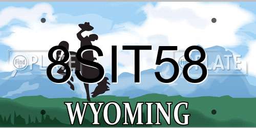 8SIT58 Wyoming License Plate