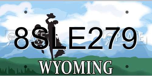 8SLE279 Wyoming License Plate