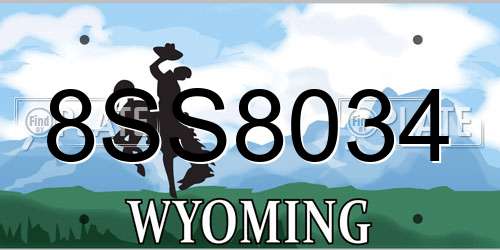 8SS8034 Wyoming License Plate