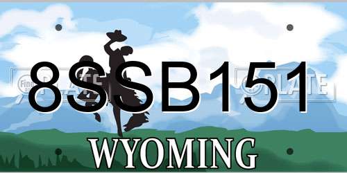 8SSB151 Wyoming License Plate