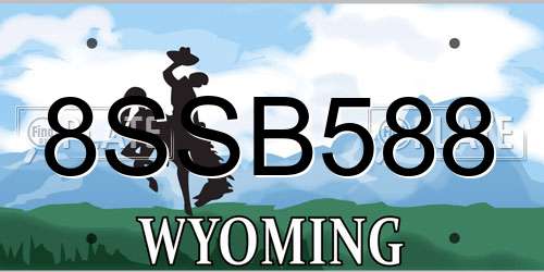 8SSB588 Wyoming License Plate