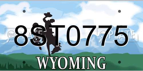 8ST0775 Wyoming License Plate