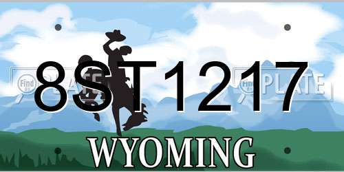 8ST1217 Wyoming License Plate