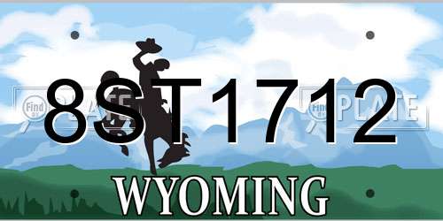 8ST1712 Wyoming License Plate