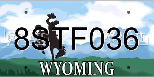 8STF036 Wyoming License Plate