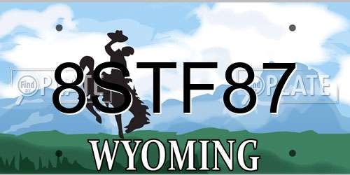 8STF87 Wyoming License Plate