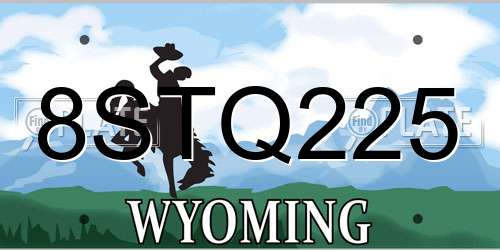 8STQ225 Wyoming License Plate