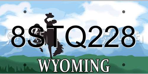8STQ228 Wyoming License Plate