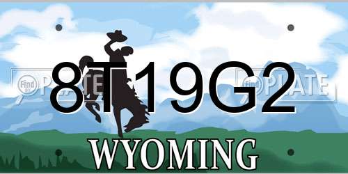 8T19G2 Wyoming License Plate