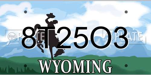 8T25O3 Wyoming License Plate