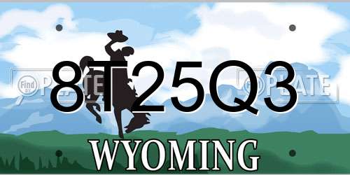 8T25Q3 Wyoming License Plate