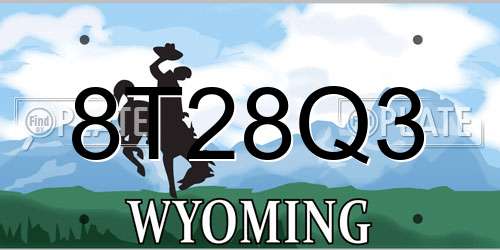 8T28Q3 Wyoming License Plate