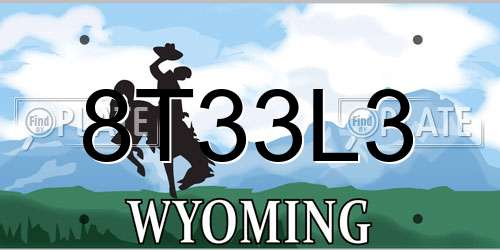 8T33L3 Wyoming License Plate