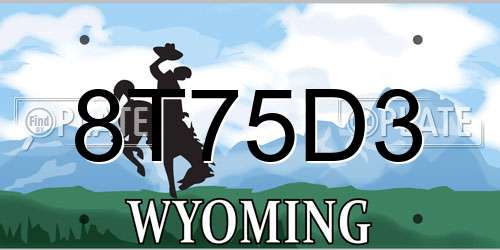 8T75D3 Wyoming License Plate