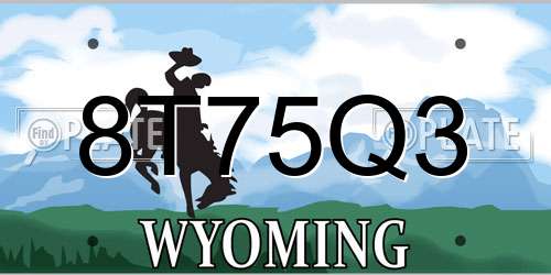 8T75Q3 Wyoming License Plate
