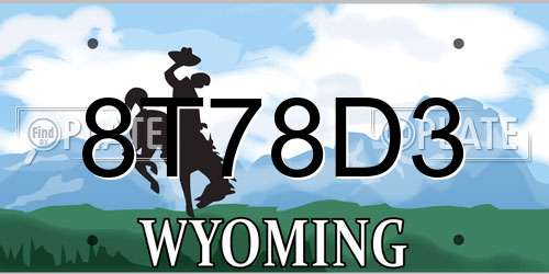 8T78D3 Wyoming License Plate