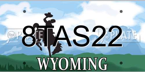 8TAS22 Wyoming License Plate