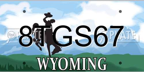 8TGS67 Wyoming License Plate