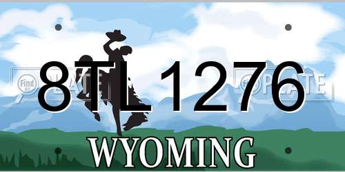 8TL1276 Wyoming License Plate