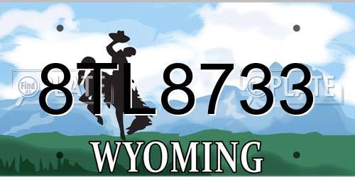 8TL8733 Wyoming License Plate