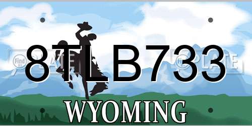 8TLB733 Wyoming License Plate