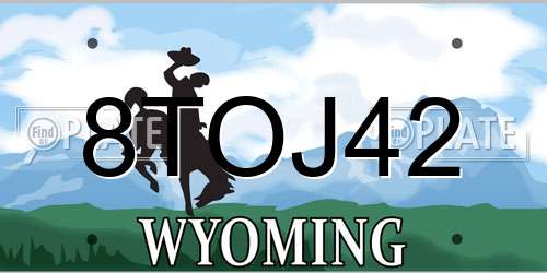8TOJ42 Wyoming License Plate