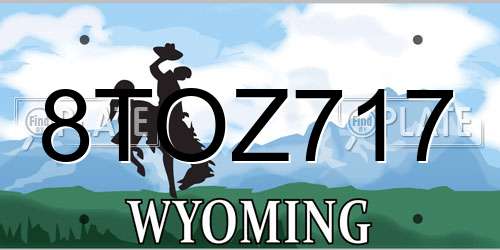 8TOZ717 Wyoming License Plate