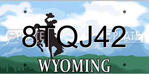 8TQJ42 Wyoming License Plate