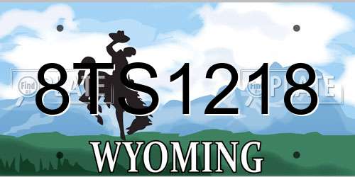 8TS1218 Wyoming License Plate