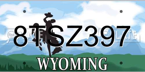 8TSZ397 Wyoming License Plate