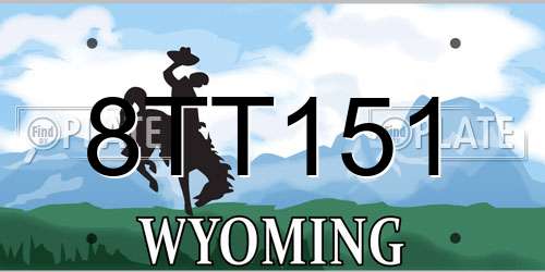 8TT151 Wyoming License Plate