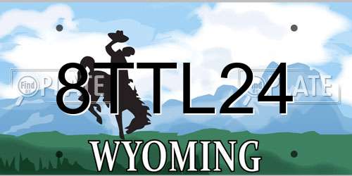 8TTL24 Wyoming License Plate