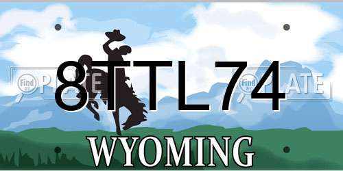 8TTL74 Wyoming License Plate
