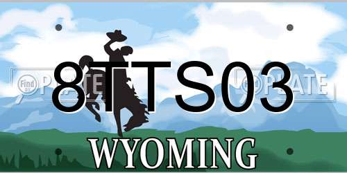 8TTS03 Wyoming License Plate