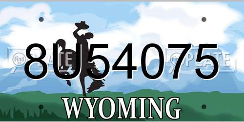 8U54075 Wyoming License Plate