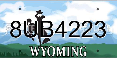 8UB4223 Wyoming License Plate