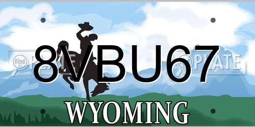 8VBU67 Wyoming License Plate