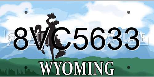 8VC5633 Wyoming License Plate
