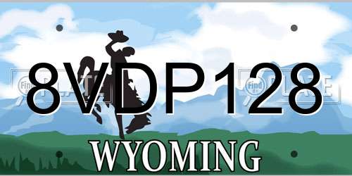 8VDP128 Wyoming License Plate