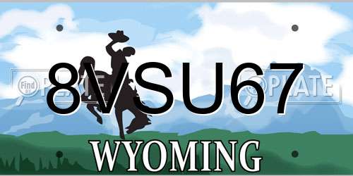 8VSU67 Wyoming License Plate