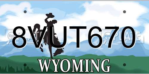8VUT670 Wyoming License Plate