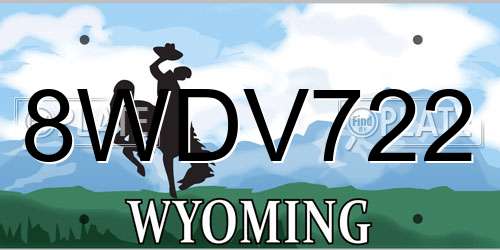 8WDV722 Wyoming License Plate