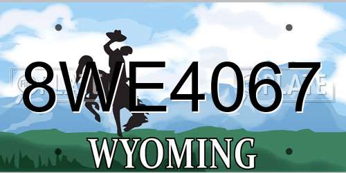 8WE4067 Wyoming License Plate