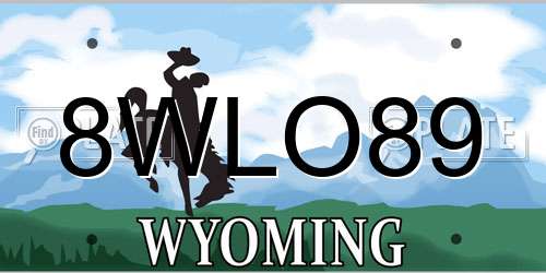 8WLO89 Wyoming License Plate