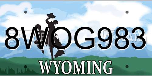 8WOG983 Wyoming License Plate