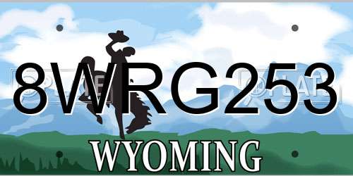 8WRG253 Wyoming License Plate