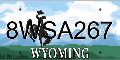 8WSA267 Wyoming License Plate